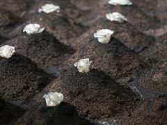 -成都许燎源现代设计艺术博物馆