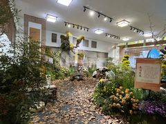 -杭州植物园
