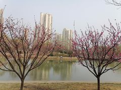 -南翠屏公园
