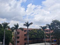 -广州市越秀区育才实验学校