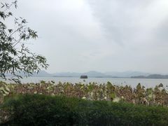 -湖畔居茶楼(湖滨店)