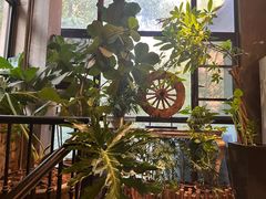 -宝翠花园餐厅(沙湖店)