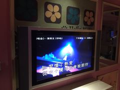 郑秀文-宠物(演唱会)-环球梦主题KTV(曲阳生活购物中心店)