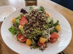 花舍经典凯撒沙拉-花舍·新派粤菜·西餐·下午茶(亚运村·鸟巢店)
