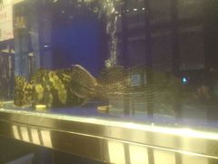 android_upload_pic-頂好酒家·经典粤菜(海信广场店)