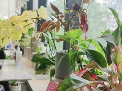 -懒人盐府人家(航天桥店)