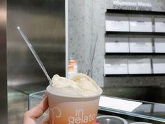 芭乐凤梨薄荷-Dip in Gelato(富民路店)