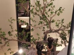 -桂满陇-锦绣江南(万象城店)