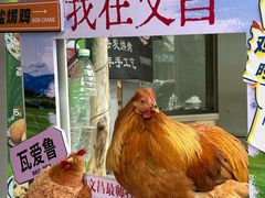 -吉英盐焗鸡(文中路店)