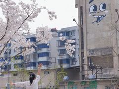 -团城山公园