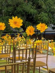 -醉库庄园·宴会厅·草坪婚礼场地