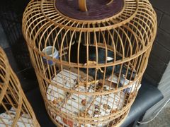 -到家尝北京菜(西坝河店)