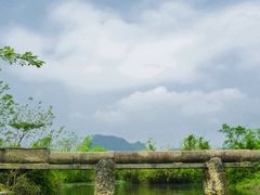 -会仙湿地