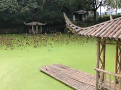 -兰亭风景区
