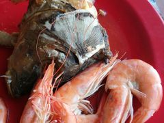 -好伦哥(温都水城店)