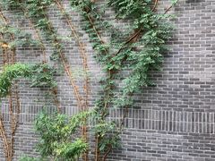 -也枫·小黄楼(南山路旗舰店)
