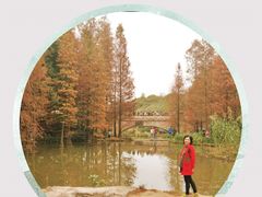 -云溪植物园