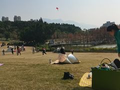 -牛岗山公园
