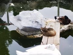 -龙华寺