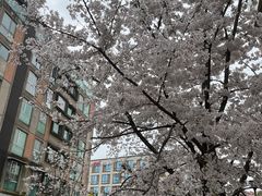 -中公教育考公考编(杨浦校区)