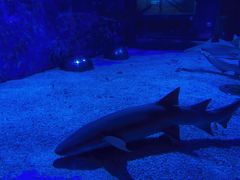 -成都浩海立方海洋公园