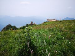 -白草畔自然风景区
