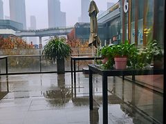 -赵小姐丨新中餐(曲江店)