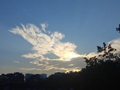 -珠海圆明新园