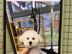 -奈斯宠物医院·核磁CT·异宠专科·内镜(中南店)