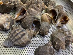 海螺-船梆煮•蒸汽海鲜·炉火烤肉(五四广场店)