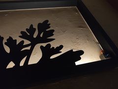 -新紫霞养生·影院足道·SPA(金山区店)