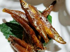 -镹·鱼料理  国产鱼使用店