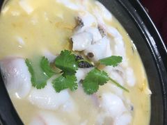 -九锅一堂酸菜鱼(新南凯德直营店)