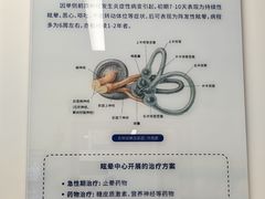 -中国人民解放军空军特色医学中心(空军总医院)
