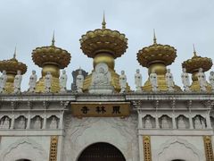 -上海东林寺(金山区)