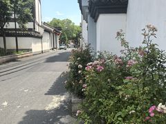 -丝绸小镇荻港古村