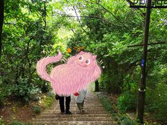 -杭州半山国家森林公园