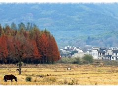 -塔川景区
