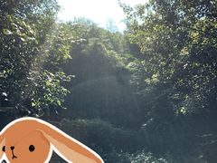 -秦岭终南山世界地质公园翠华山景区