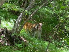 -焦作青龙峡风景名胜区