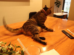 -PAUSE CAFE(南秀村店)
