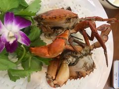 -友强·23年特色海鲜大排档(厦门店)