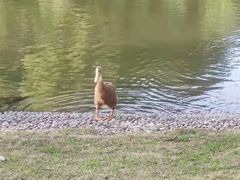 -东华大学(松江校区)