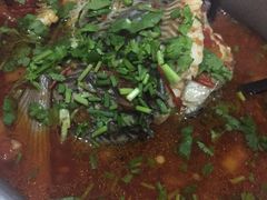 -风鑫铃罗非鱼(道沟店)