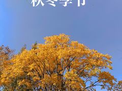-华庭苑农家乐(旺山店)
