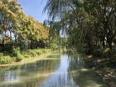 -昆山城市生态森林公园