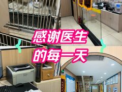 -米苏动物医院·犬猫专科·骨科外科内窥镜