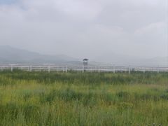 -敕勒川草原