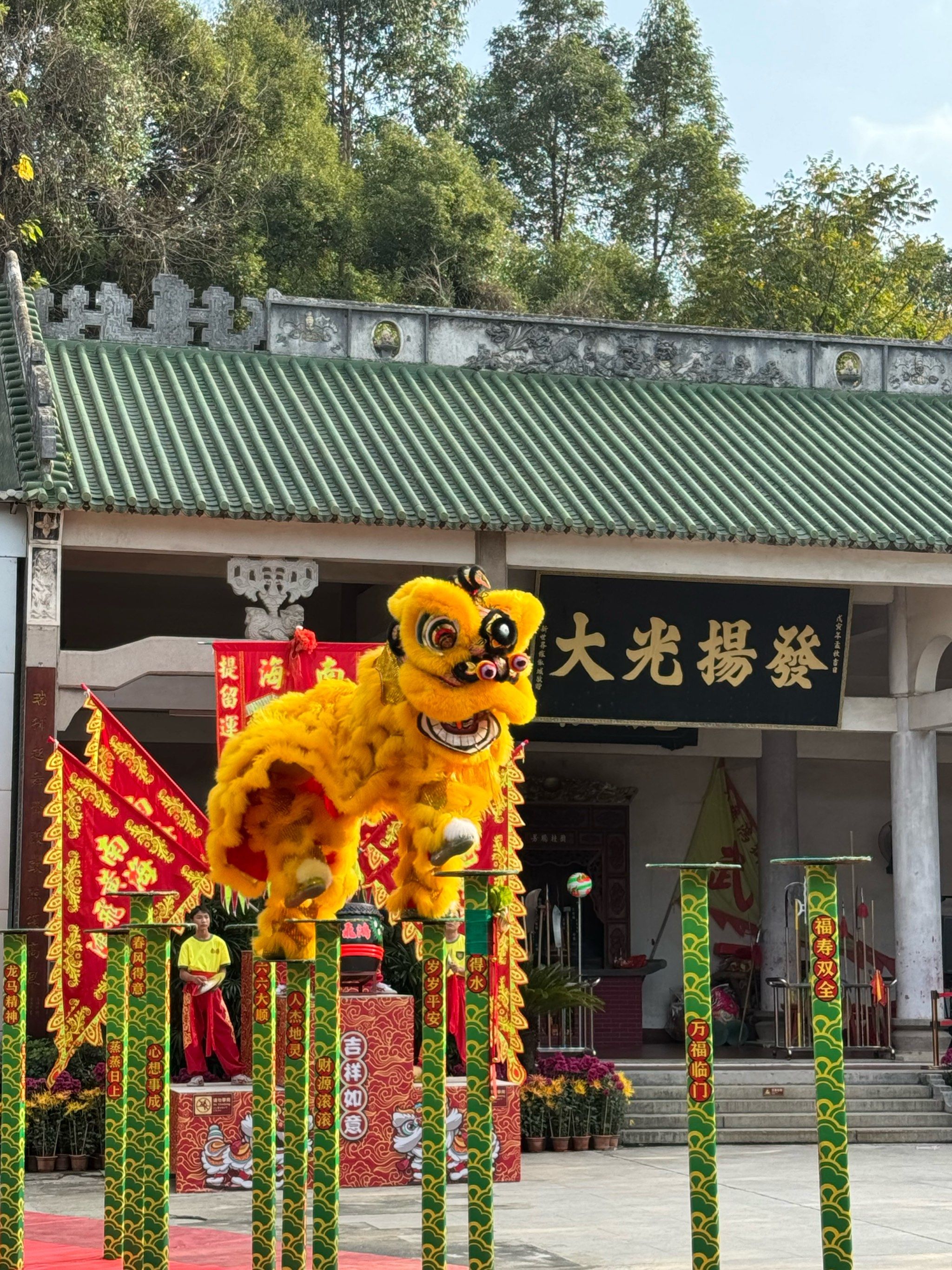 佛山一定要去看的舞狮哦!