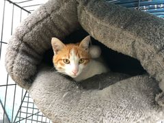 -虚荣精酿酒屋(五羊店)